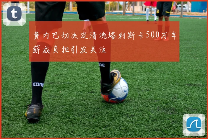 费内巴切决定清洗塔利斯卡500万年薪成负担引发关注