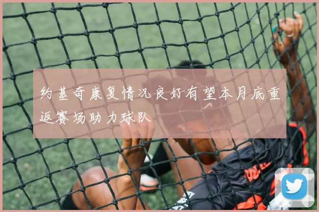 约基奇康复情况良好有望本月底重返赛场助力球队