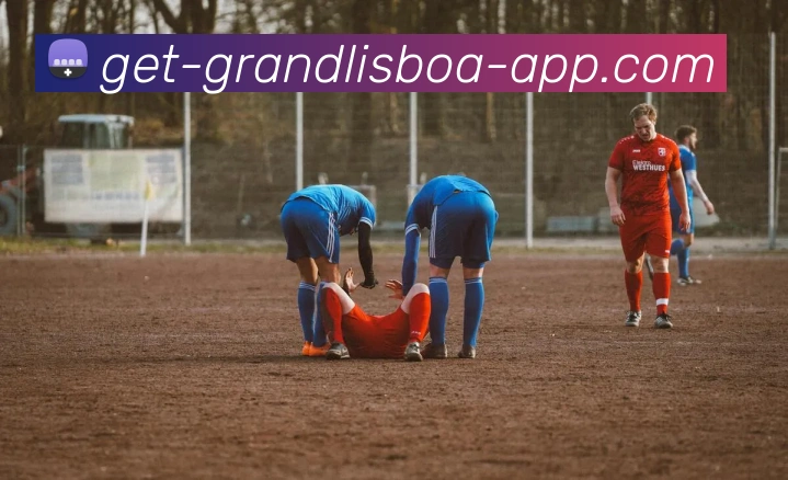 新葡京娱乐APP 封面图